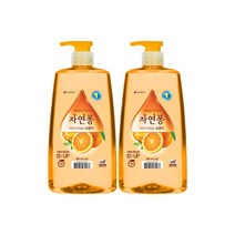 자연퐁 주방세제 오렌지 980ml x 2개, 단품