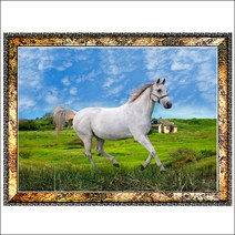 드림하우스 말사진