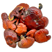 지리산 청정약초 자연산 영지버섯(국내산)-500g(중 소 혼합)실물은 사진과 다를수 있습니다., 1개