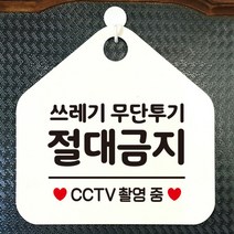쓰레기무단투기 절대금지 CCTV 촬영중 오각안내표지판 매장알림판 매장안내문구판 화이트판, 문구색상/핫핑크