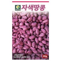 자색땅콩 씨앗 20g