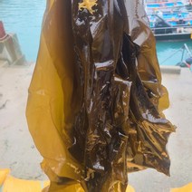 초록수산 산지직송 완도 생 다시마 1kg 2kg 4kg 8kg 10kg, 생다시마 1kg