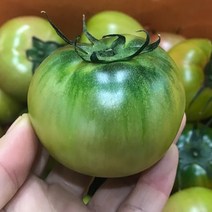 새콤달콤 맛있는 토마토 2.5kg, 1박스, S-3S (5-7번)