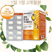 식약처 인증 정품 면역 앤 항균 프로폴리스 포르폴리스 환 프로폴리스 츄어블 씹어 먹는, 상세페이지 참조, 상세페이지 참조