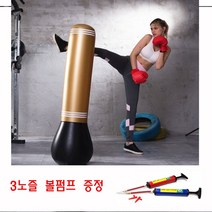 J-스포츠 홈트레이닝 코어운동 전신운동 밸런스보드 샌드백 짐볼 AB슬라이드 헬스 요가 필라테스 홈트 운동기구, 5. 다이어트히트백-레드