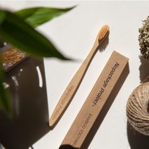 NPE 컬러 대나무 천연 생분해 칫솔 (색상랜덤) [Biodegradable Bamboo Toothbrush Random Brush Color]