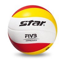 조은마켓 체대졸업 스타 배구공 그랜드챔피언2 [VB225-34S] 4호 5호 국제배구 배구협회공인구, 그랜드챔피언2_4호