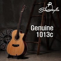 [벤티볼리오] Bentivoglio 제뉴인 Genuine1013c 입문용 기타 풀패키지, 벤티볼리오 듀얼소소