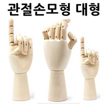 관절손모형 대형 손모형 조형물 손골격모형 구체관절인형 목각관절인형