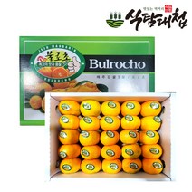 식탐대첩 불로초 프리미엄 감귤 1.5kg 로얄과, 1개