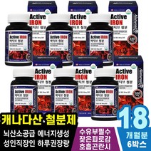 노르에피네프린 철분영양제 빠른심장박동 엄마아빠 기력회복 현기능날때 레드마임 탈모증상 안면떨림 빈혈영양제 적혈구부족 신진대사촉진 에피네프린