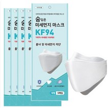 더조은 숨담은 미세먼지 마스크 KF94 대형, 100매입