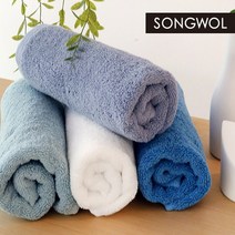 송월타월 항균 프리미엄 무지 170g 수건, 4장, 민트