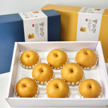 [배통령] 명절 배 선물세트 특대과 천안 성환배 7.5kg 제수용 선물용 가정용 배과일, 선물용 특대과 배 세트 7.5kg(10과수 내외)