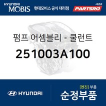 냉각수 보조펌프(쿨런트펌프) (251003A100) 베라크루즈 현대모비스부품몰