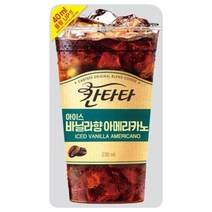 롯데 칸타타 아이스 바닐라아메리카노 230m 10팩, 본상품선택, 1개