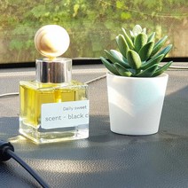차량용디퓨저 실내디퓨저 화장실 아로마디퓨저 데일리스윗50ML, 향:7.인더모닝