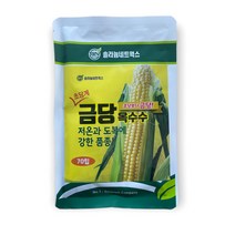 초당계 금당옥수수 씨앗 70립 [22년포장] 금당 국산 옥수수 종자