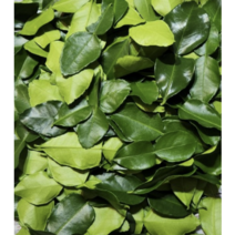동남아야채 생 카피르 라임잎 1KG 아시안푸드 Kaffir Lime Leaf worldfood Lime Leaves 똠양꿍 향신료, 10kg, 1개