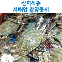 산지직송 진도 활꽃게 1kg 2kg, 활꽃게_1kg