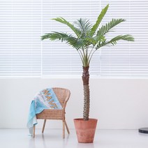 [쏘굿] BEST 생화같은 조화나무, 피닉스야자 210cm