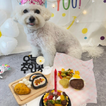 [멈머맘마] 강아지생일상 생일파티세트 강아지수제간식 강아지생일 생일상세트 타르트 함박스테이크 김밥 치킨 치킨무 강아지베이커리 강아지케이크 생일한상차림 강아지홈파티세트 애견생일