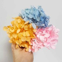 수국 안나수국 프리저브드수국 드라이플라워 프리저브드플라워 말린꽃 프리저브드 인테리어 꽃소품, 5g, 연핑크