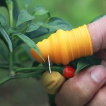 고추 채소 야채 수확 따기 톱날 엄지 나이프 엄지칼, 2-톱날칼대형