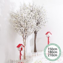 실내인테리어 인조나무 123종 / 플트 조화나무 C, C01.쌍대벚꽃나무 210cmK-화이트/사방형