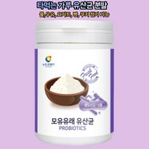 모유 유래 유산균 분말 가루 230g 베이킹반죽 물 우유 요거트 첨가 락토바실러스 불가리쿠스 파라카제이 람노서스 아시도필루스 루테리 카제이