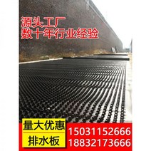 드레인보드 벽체배수판 벽배수판 지하배수판 요철 배수 보드 지붕 심기 야채 옥상 정원 녹색 보관 차고 플라스틱, 04/1200g/평방 미터 흰색 배수 보드