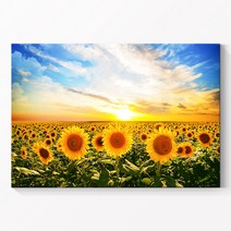 [인메이블] 돈들어오는 해바라기 그림 28종 액자 거실 풍수 인테리어 캔버스 소품 개업 선물, 15.RE-푸른해바라기밭, 캔버스액자, 특대형 80호[145.5x97cm]