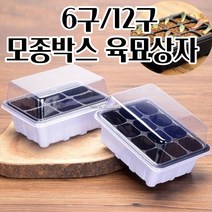 모종상자 육묘용 사각 6/12구 플라스틱 모종박스 씨앗기르기 웨어 텃밭상자 다목적, 12구