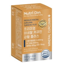 뉴트리딘 프리미엄 미네랄 커큐민 강황 플러스, 60정, 1개