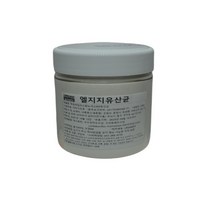 락토바실러스 람노서스 GG 유산균 300g