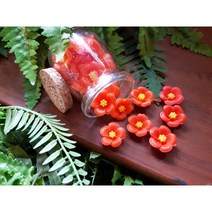 [수하련_제주비누] 제주 유리병 동백 비누, 포장리본추가, 리필50g