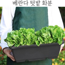 실내텃밭화분 옥상 베란다 텃밭세트 상추화분 대파화분 텃밭상자 상추키우기 아파트텃밭 화분받침대 베란다텃밭 화분정리대 텃밭화분 텃밭가꾸기 집에서상추키우기 베란다화분 옥상텃밭, 본상품