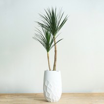 특대형 드라코 프리미엄폴리스톤 화이트화분 인테리어 플랜테리어식물, 추가+3천원, 기본서랍식