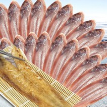 올리오 군산 반건조생선 박대 서대 사이즈 28cm~38cm내외 진공포장 소포장, [소]28cm내외20마리