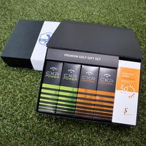 [주문제작]골프공 각인 프리미엄 골프용품 선물세트 부모님 친구 모임 SM-09, 01.트로피