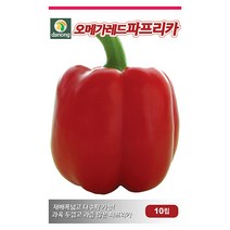 뱀 딸기 씨앗 1000립 - 뱀딸기 딸기키우기 야채씨앗 채소씨앗 채소재배 종묘 종자 베란다 텃밭 씨 씨앗 오이 호박 방울토마토 수박 참, 22_다농_오메가 레드파프리카(10립)