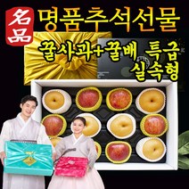 설날선물세트 선물용 프리미엄 문경 충주 햇사과 황금배 나주배 혼합과일 선물세트 5kg 맛있는 제철과일 백화점 홈플 이마트 명품 고급 명절 보자기 포장