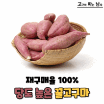[고파남] 베니하루카 꿀고구마, 꿀고구마 10kg (중)