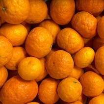 제주 카라향(가정용) 2kg 12-16과 (중과), 단품