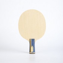 Stuor 20 New HARIMOTO TOMOKAZU 탁구 블레이드 ZLC 내부 탄소 탁구 라켓 내장 섬유 탄소 빠른 공격, 03 short handle CS, 03 short handle CS