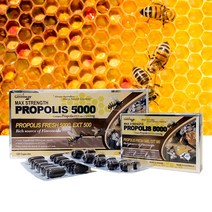 네이쳐스그린웨이 호주 그린 프로폴리스 액상캡슐 원액 5000mg 120캡슐