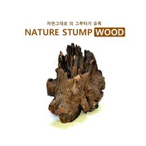 SM 그루터기 자연유목 [소]