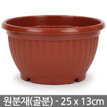 플라스틱 골분 분재화분 대형 - 원분재 식물 플분 원형화분 분배분 재배분 분갈이 인테리어 베란다 화분, 01_세인_원분재(브라운)-소형