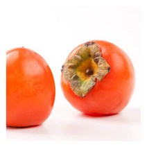 싱싱유통 달달한 대봉감 10kg 40-50과