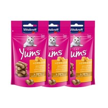 비타크래프트 고양이간식 캣얌 40g, 3개, 치즈